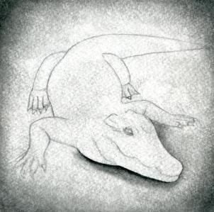 kak risovat krokodila0944